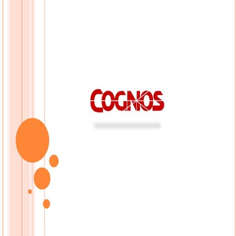 Cognos demo.