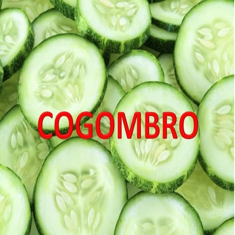 Cogombro | PPS