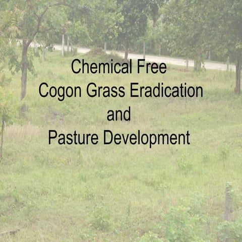 Managing Cogon without poison