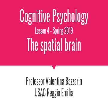 Blindsight_Neurobiology_Project_edited.pptx