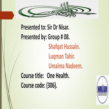 COHORT STUDY grp 8.pptx