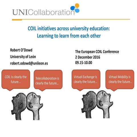 COIL initiatives across university education: Learning to learn from each other