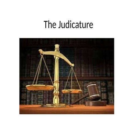 COI     unit 4      The Judicature. pptx