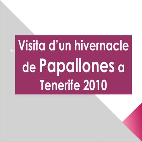 Col.legi fotos papallones