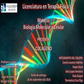 Colageno biologia molecular y celular