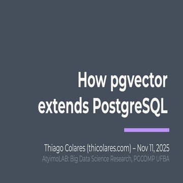PgVector + : Enable Richer Interaction with vector database.pptx