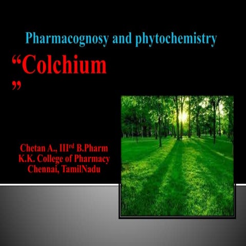 Colchicum - Anti Rheumatic agent | Cultivation | Description | Chemical Const...