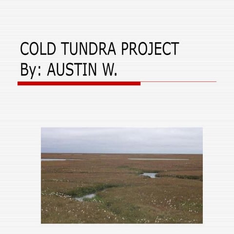 Cold Tundra Project Watts