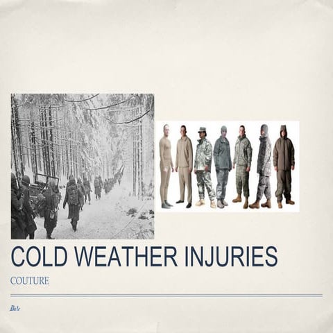 Army Heat Injuries | PPTX