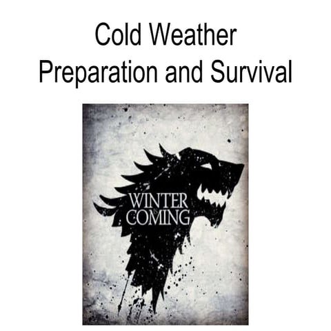 Winter Safety | PPTX