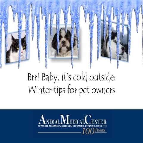Baby, It's Cold Outside: Winter Tips for Pet Owners | PPTX