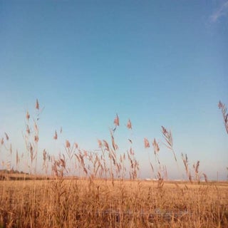 "MI DOSSIER FOTOGRÁFICO"