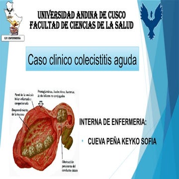 COLECISTITIS AGUDA  DE SALUD A NIVEL DE ESTUDAINTE