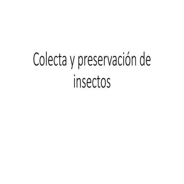 Recolecion, montaje y preservacion de insectos | PDF