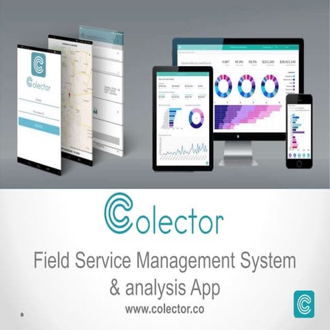 Colector p18 intro pitch