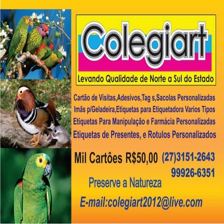 Colegiart cartões de visitas