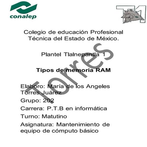 Colegio de educación profesional técnica del estado de méxico