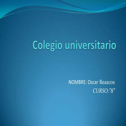 Colegio universitario