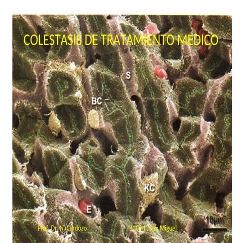COLESTASIS - FISIOPATOLOGÍA, DIAGNÓSTICO Y TRATAMIENTO | PPT