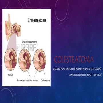 Anatomy of external ear | PPT