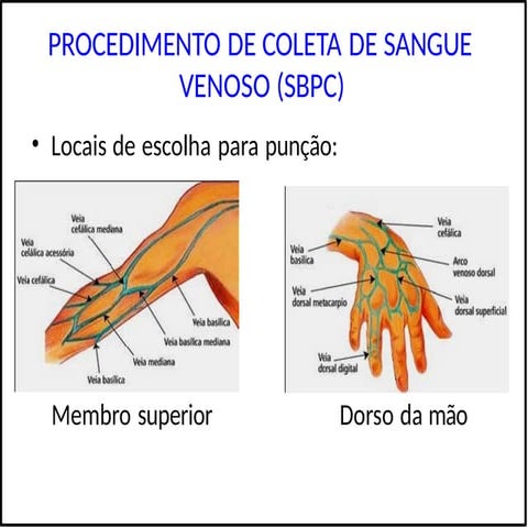 Material de Estudos de COLETA DE SANGUE VENOSO