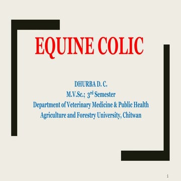 Colic in horse