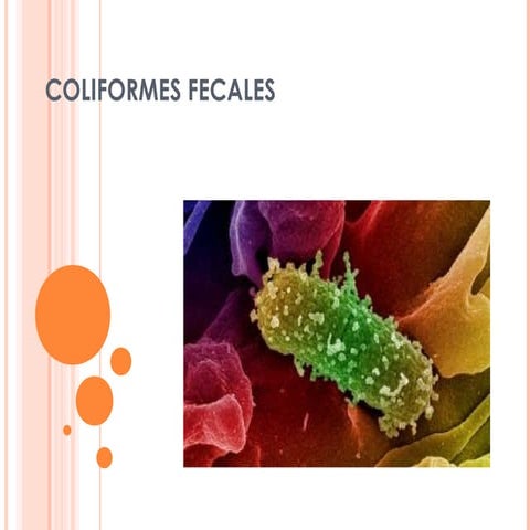 Coliformes fecales Fisiol