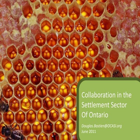 Collab and-settlement-sector