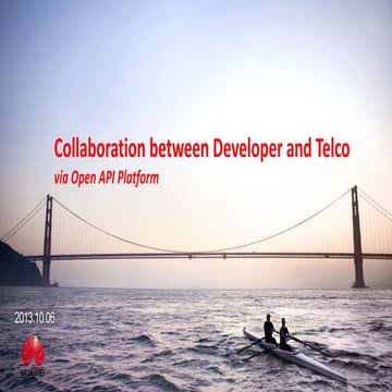 Collaboration between developers and operators via open api platform