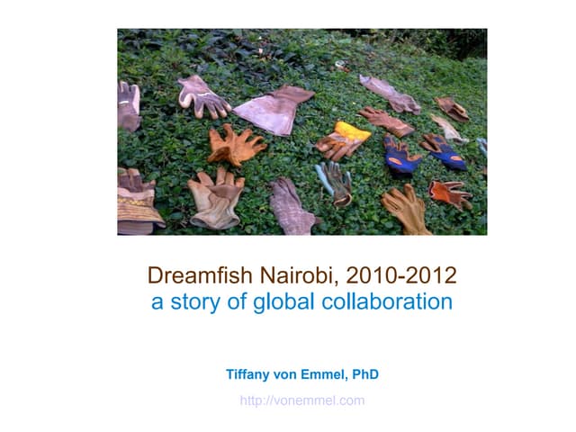 Dreamfish Nairobi Story