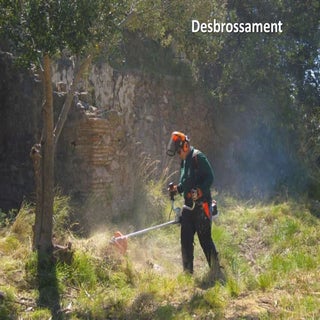 Treballs forestals al Collado