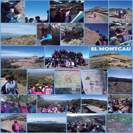 Projecte La muntanya: el Montcau