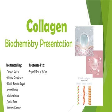 COLLAGEN.pptx Collagen – Definition, Structure, Types, Functions | PPTX