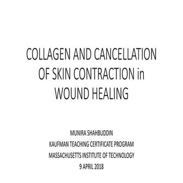 Collagen and cancellation of skin contraction 