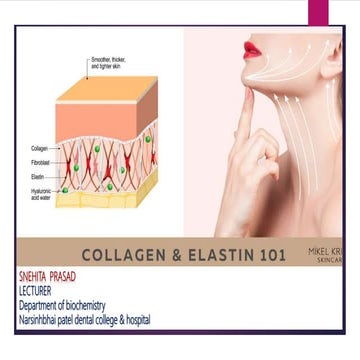 Collagen & Eastin | PPTX