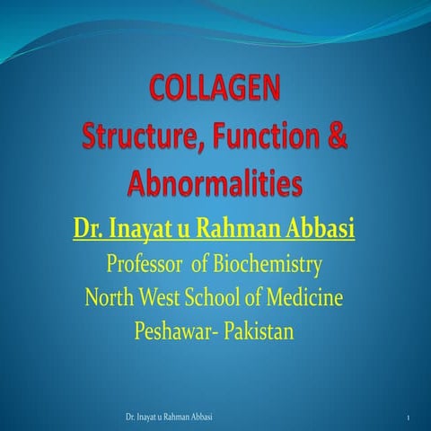 Collagen ppt(1) | PPTX