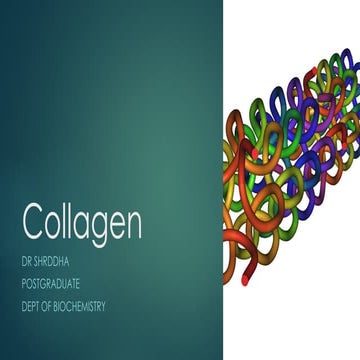Comprehensive Overview of Collagen: Structure, Biosynthesis, Types, and ...