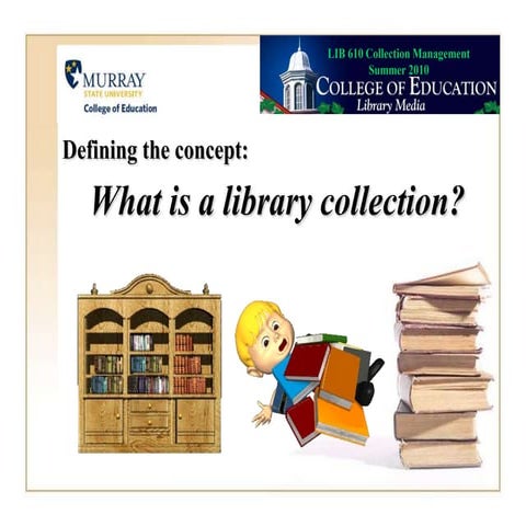 What is a Library Collection? 2007 format