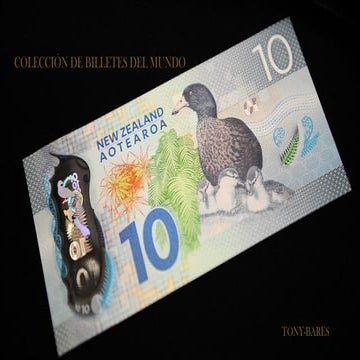 Collection de billets du monde