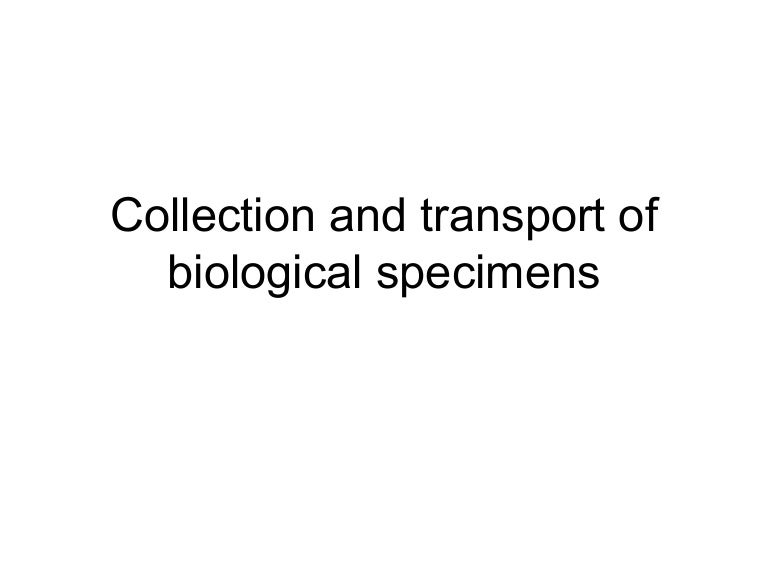 Collection of biological specimens for microbiology tests