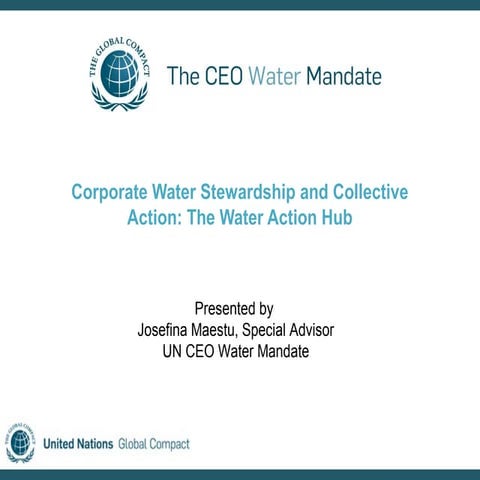 Corporate Water Stewardship and Collective Action: The Water Action Hub