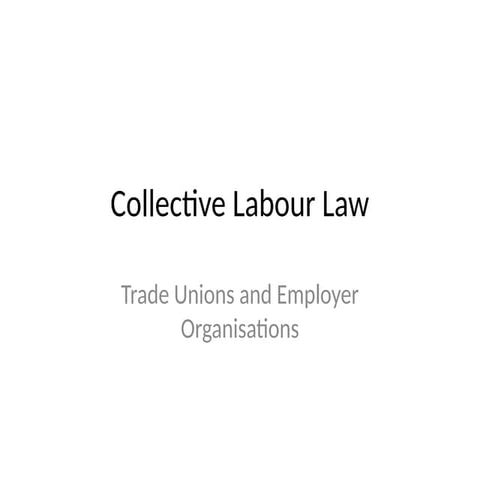South African Collective Labour Law 2022.pptx