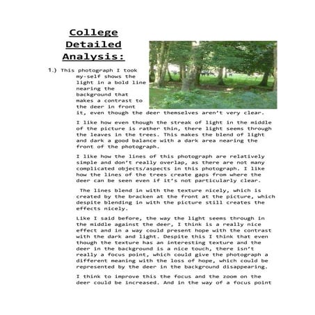 College detailedanalysis.docx