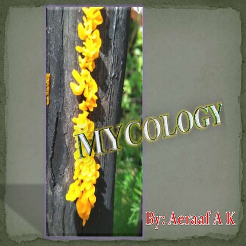 Mycology Introduction