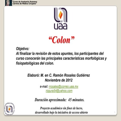 Colon