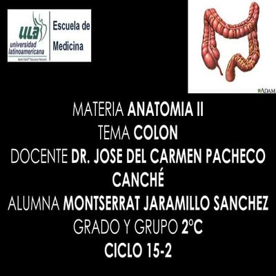 Colon | PPTX