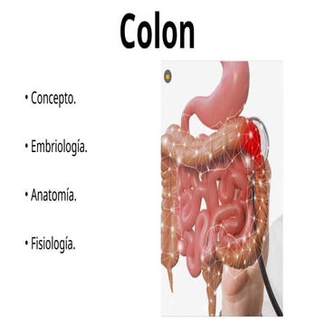 presentacion_colon_anatomia_fisiologia_completa.pptx