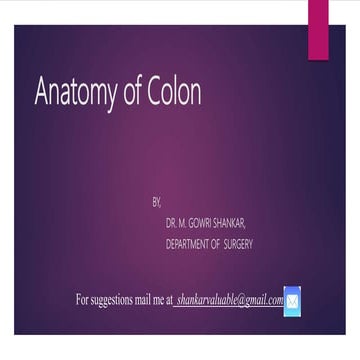 Colon anatomy