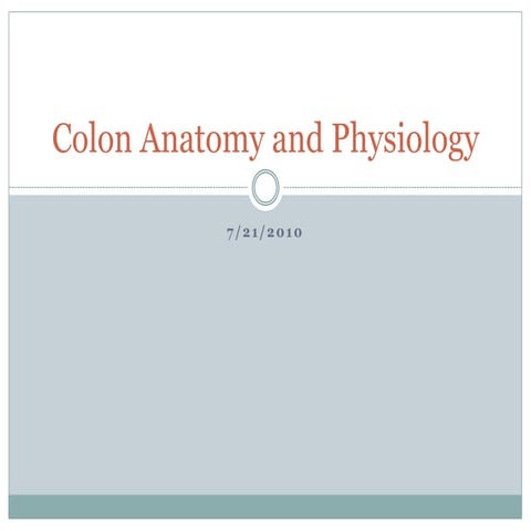 Colon and Rectum Surgical Anatomy and Physiology | PPTX