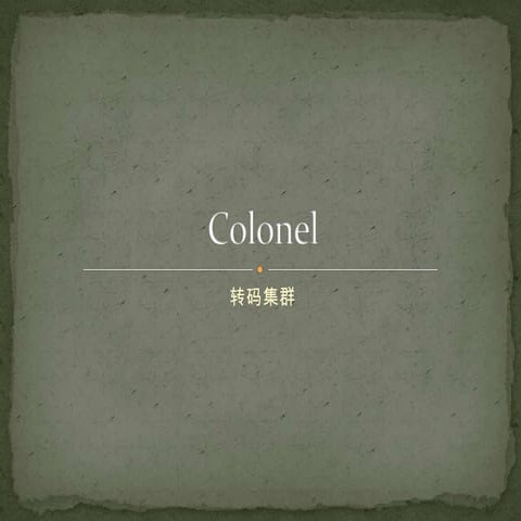 Colonel转码集群